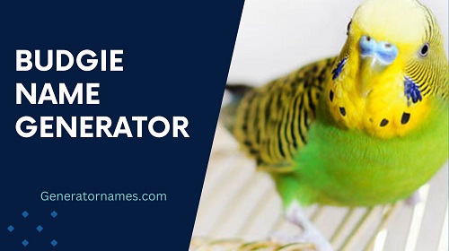 Budgie Name Generator