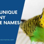 Budgie Names