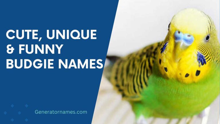 Budgie Names