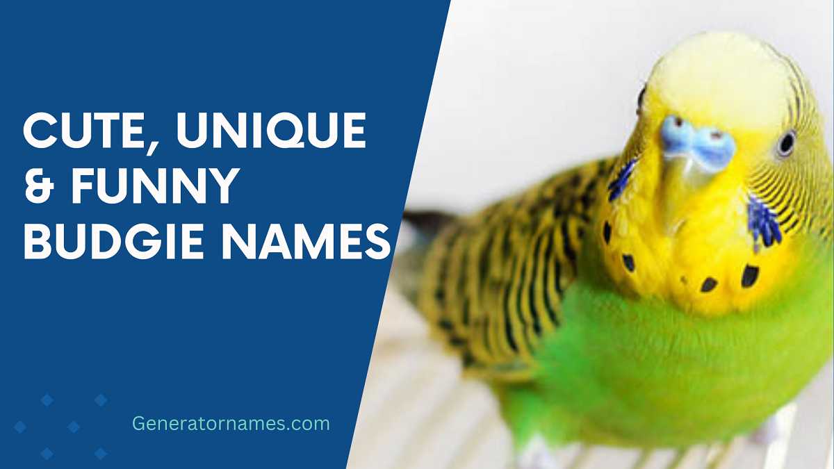 Budgie Names