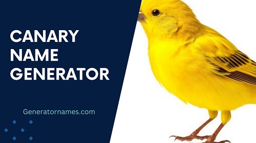 Canary Name Generator