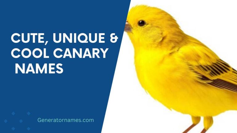 Canary Names