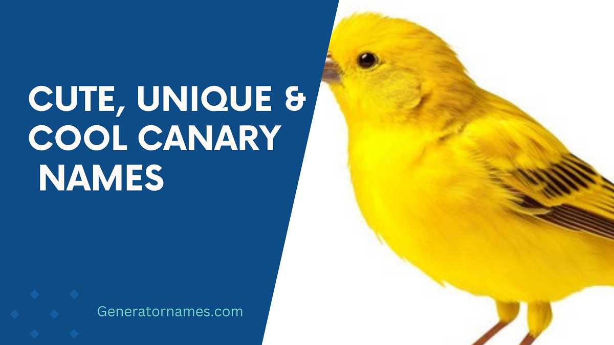 Canary Names