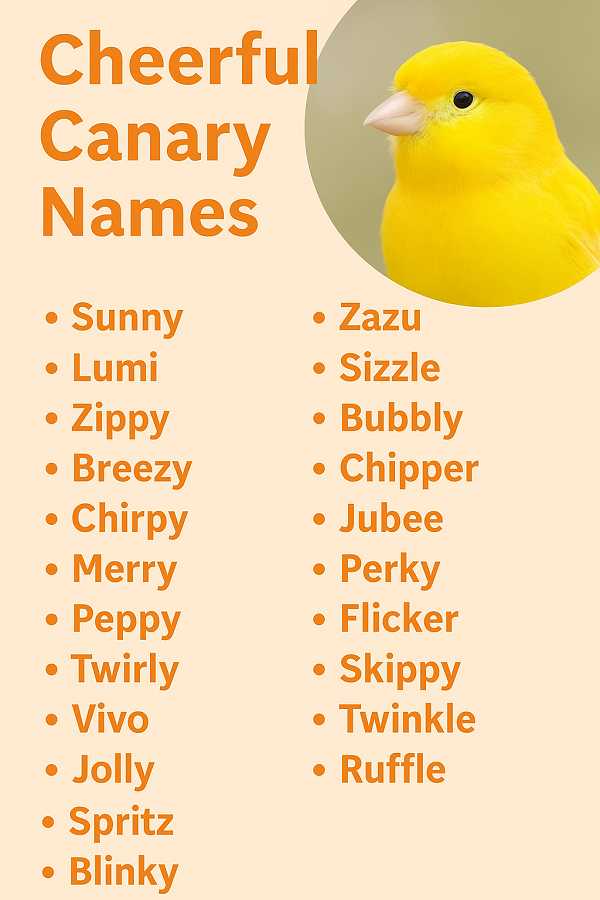 Cheerful Canary Names