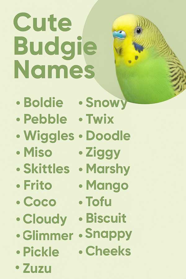 Cute Budgie Names