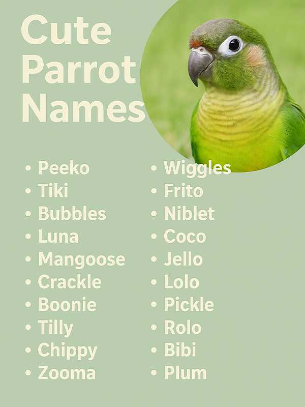 Cute Parrot Names