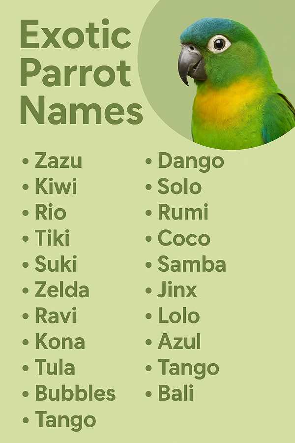 Exotic Parrot Names