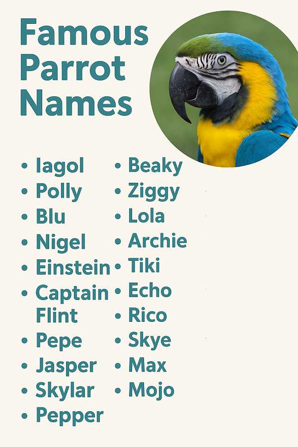 Famous Parrot Names