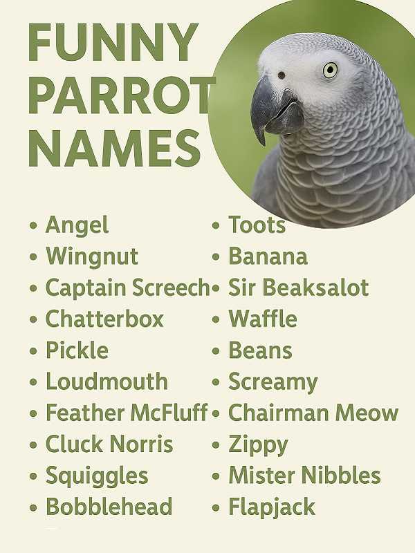Funny Parrot Names