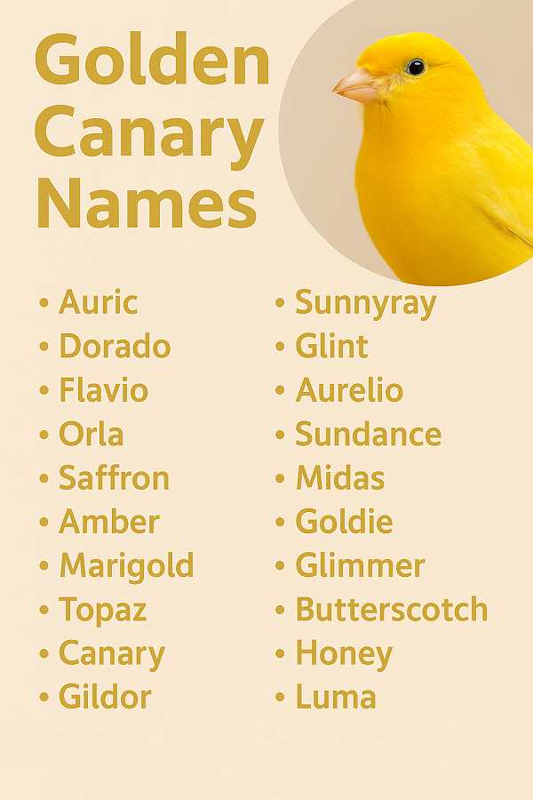 Golden Canary Names