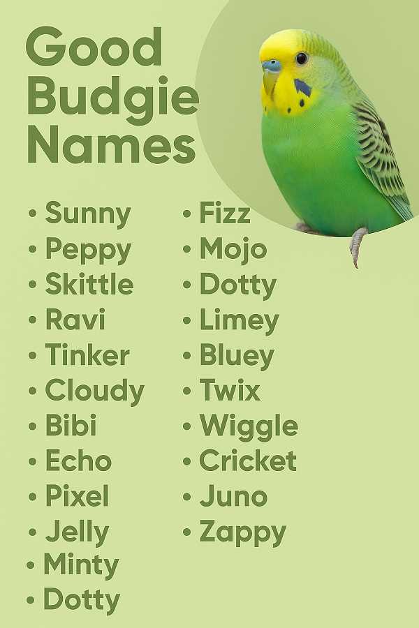Good Budgie Names