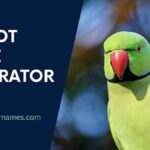 Parrot Name Generator