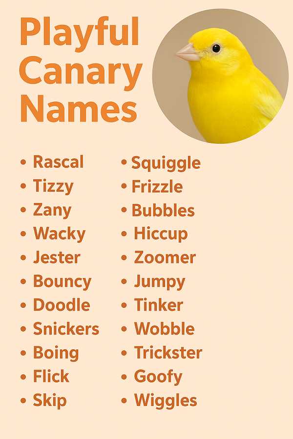 Playful Canary Names