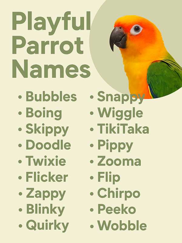 Playful Parrot Names