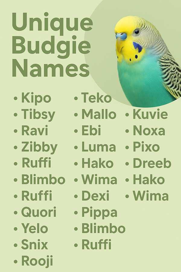 Unique Budgie Names