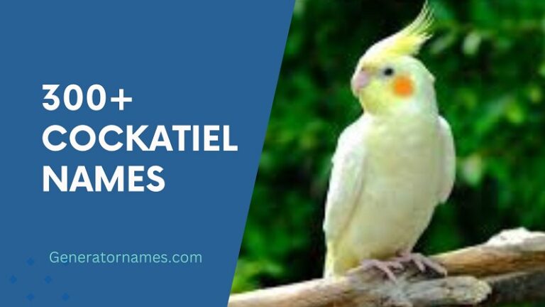 300+ Cockatiel Names
