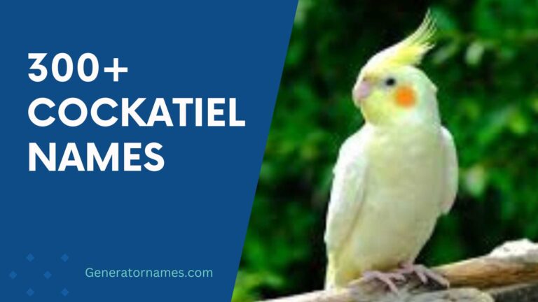Cockatiel Names
