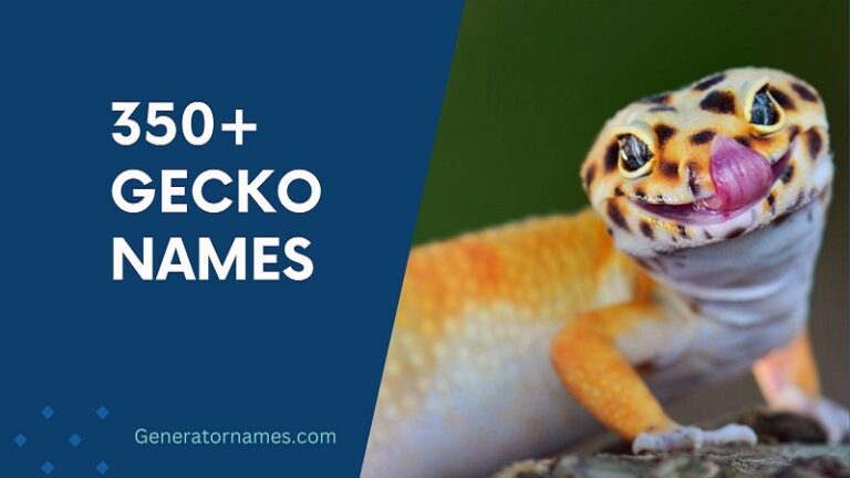 Gecko Names