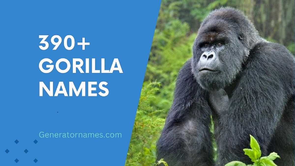 Gorilla Names