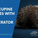 Porcupine Names
