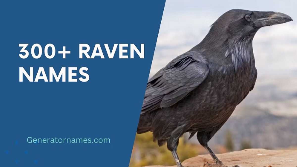 Raven Names