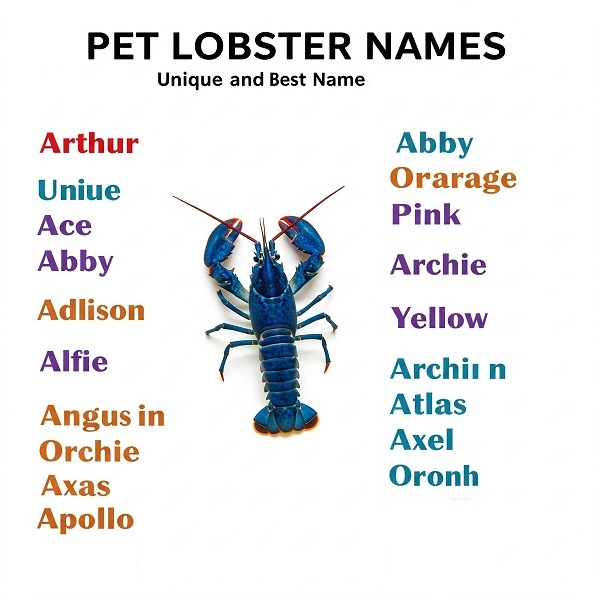 Pet Lobster Names
